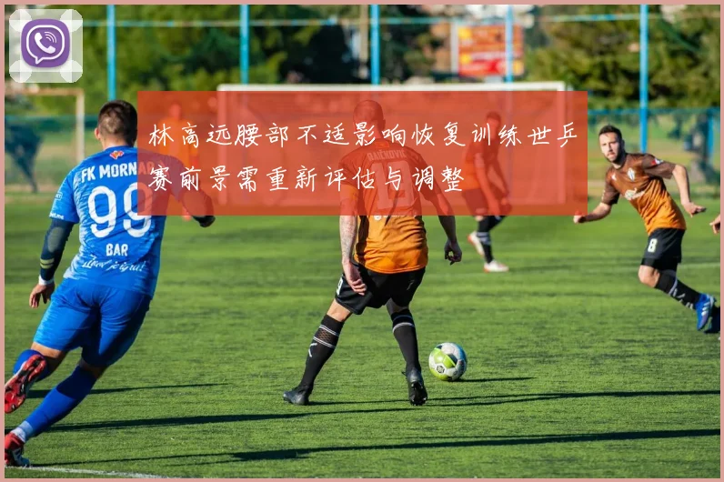 林高远腰部不适影响恢复训练世乒赛前景需重新评估与调整